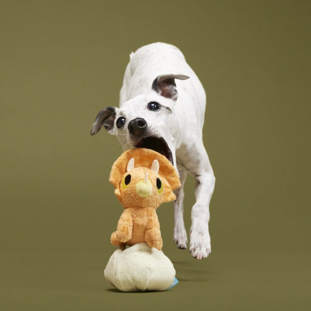 Baby Triceratops Plush Multi-Part + Enrichment Dog Toy