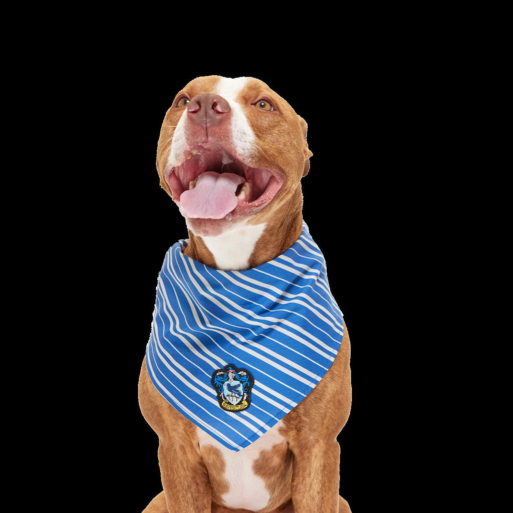 HARRY POTTERTM House Dog Bandana