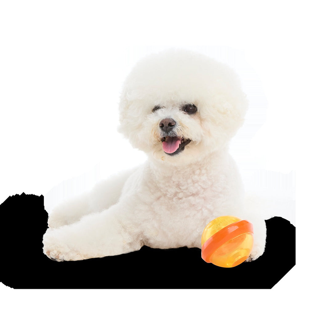 Nebula Super Chewer Durable Fetch + Enrichment Dog Toy