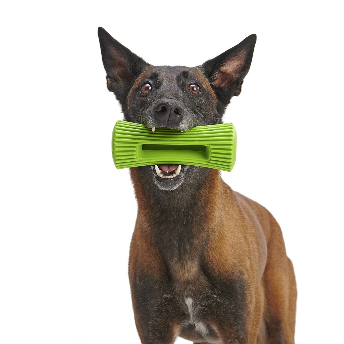 Celery Super Chewer Durable Fetch + Enrichment Dog Toy
