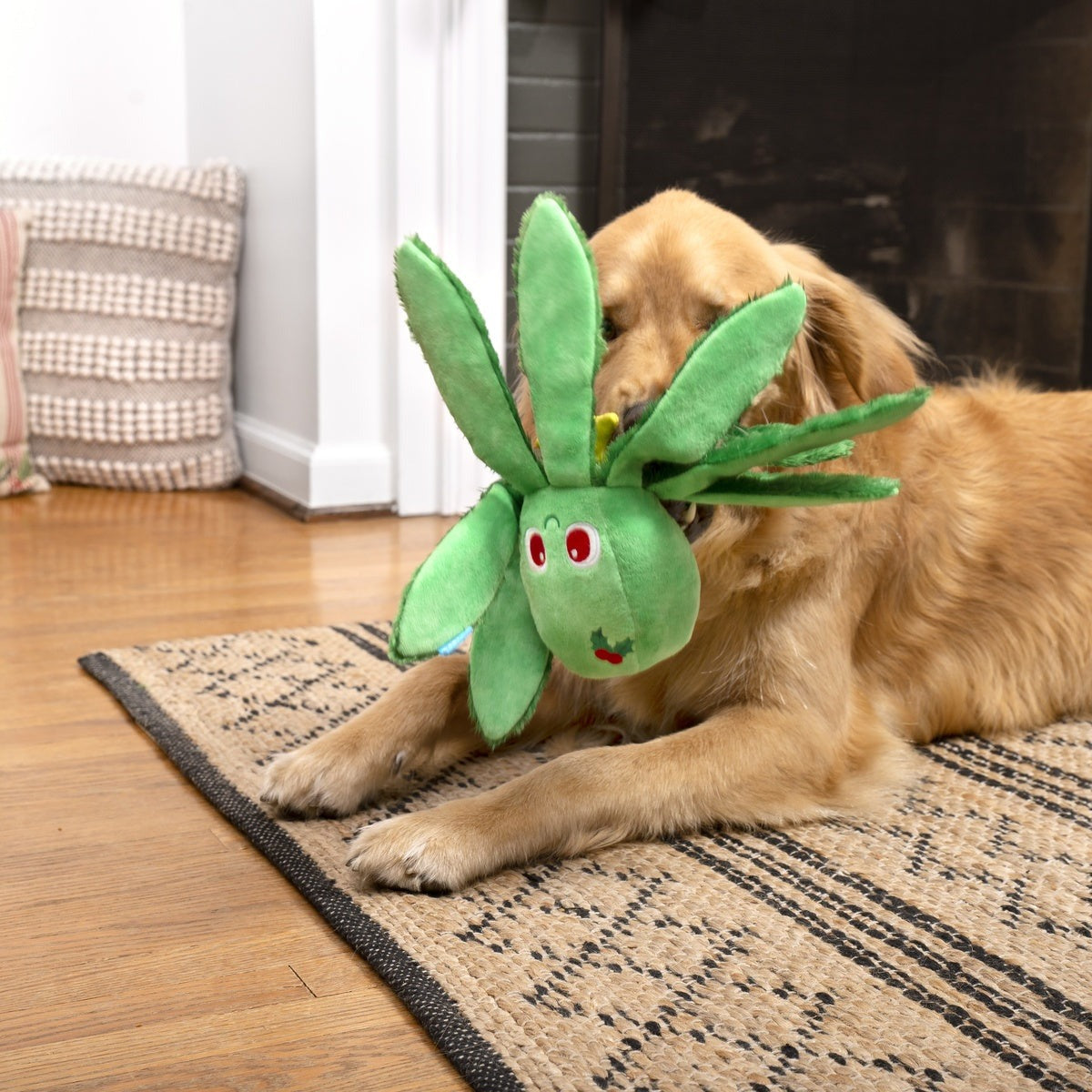 Holly Jolly Ollie Plush Tug Dog Toy