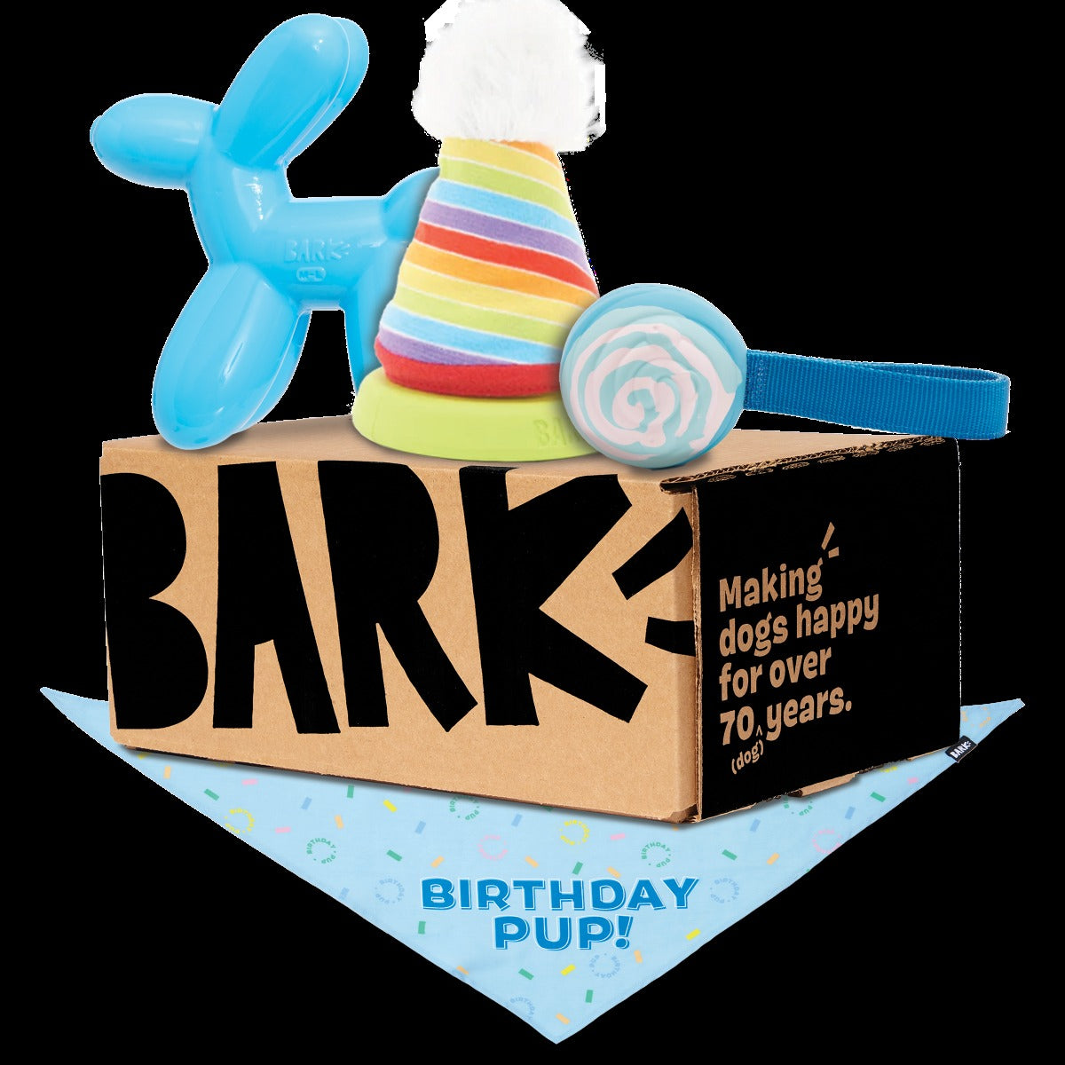 Birthday Super Chewer Box (Toy-Only) - One Month Gift Box