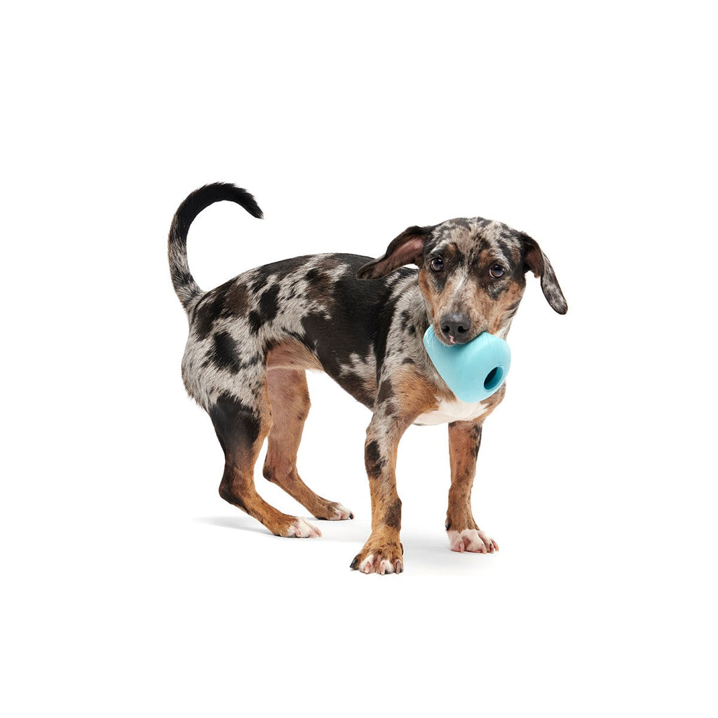 Titan Super Chewer Durable Enrichment Dog Toy