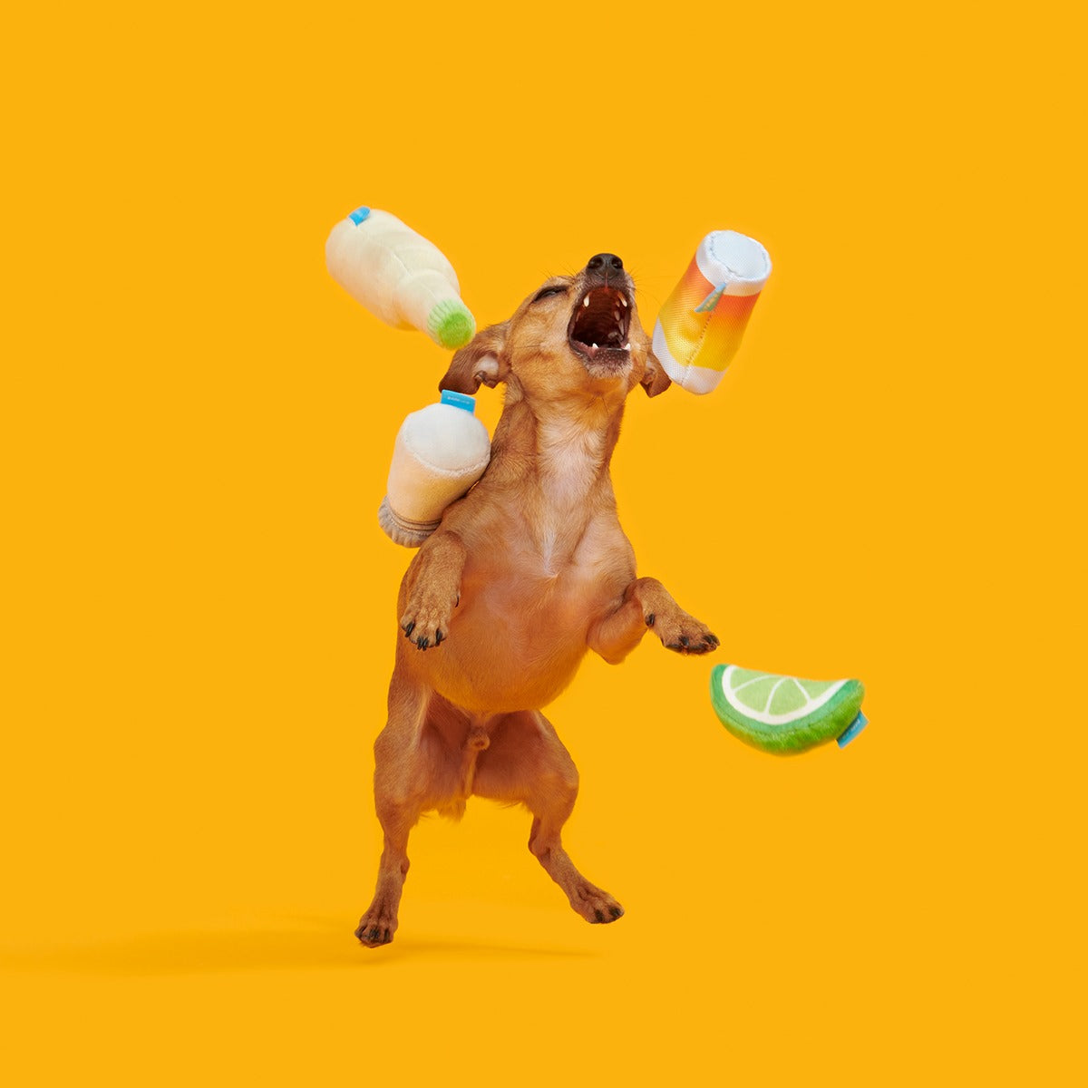 One Tugquila, Chew Tugquila Plush Multi-Part Dog Toy