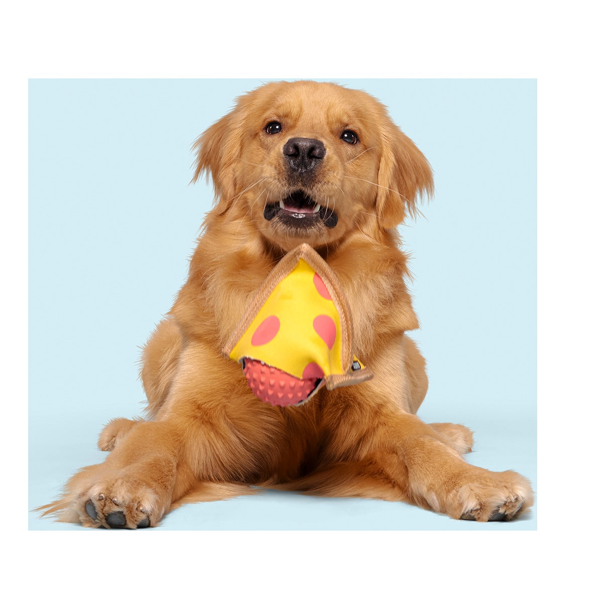 Lil Squeaker's Pizza Super Chewer Durable 2-in-1 Fetch Dog Toy
