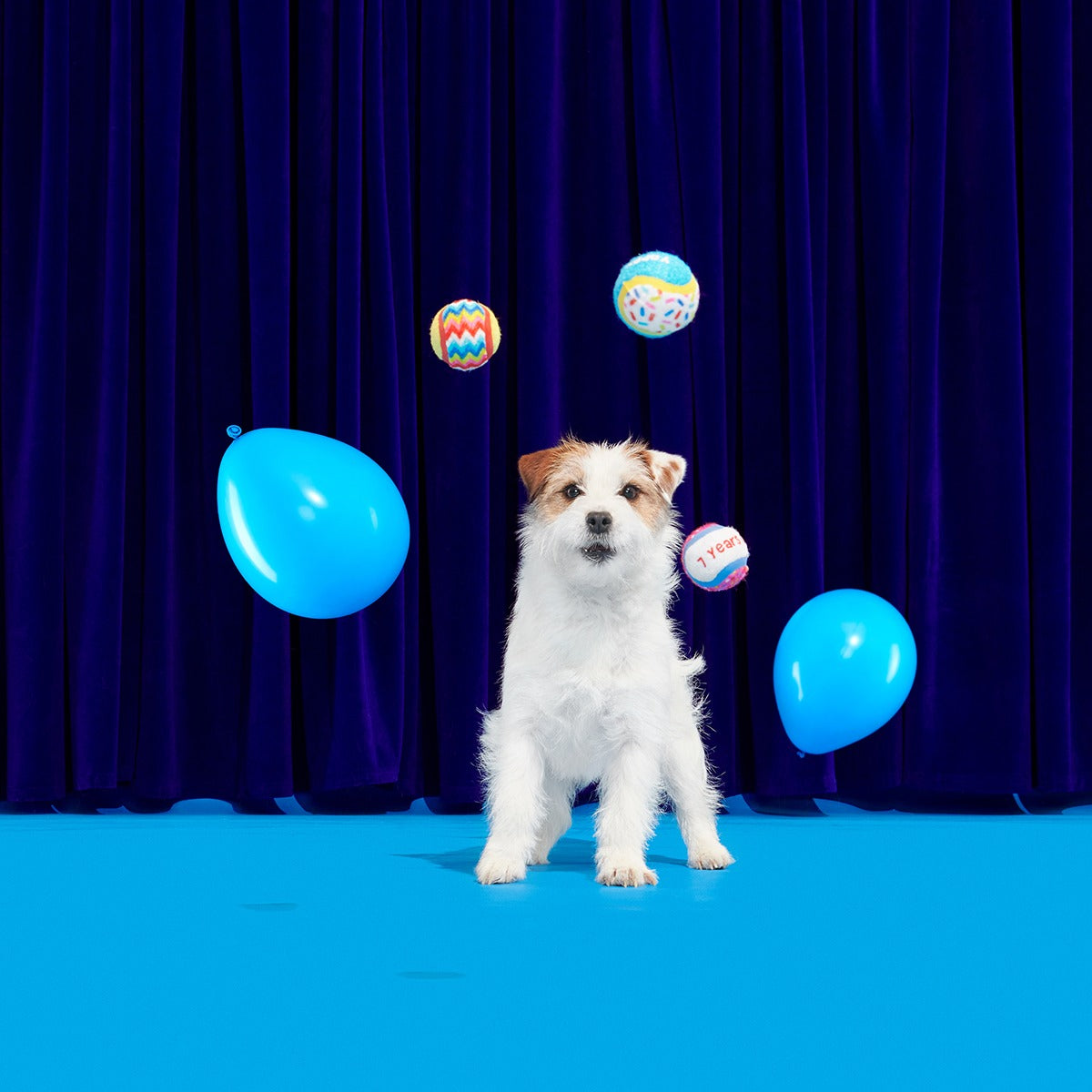 Party Fetchers Plush Multi-Part Fetch Dog Toy