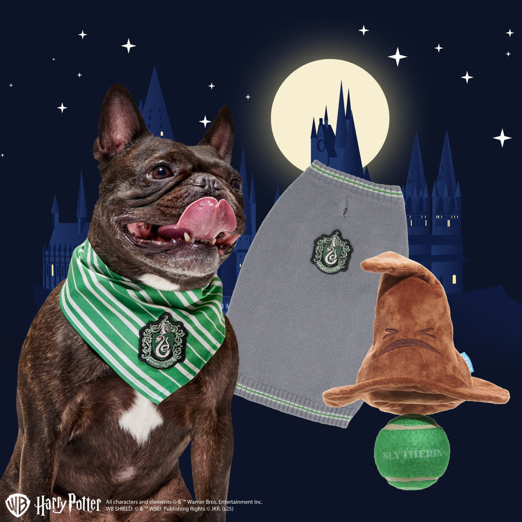 SlytherinTM Bundle