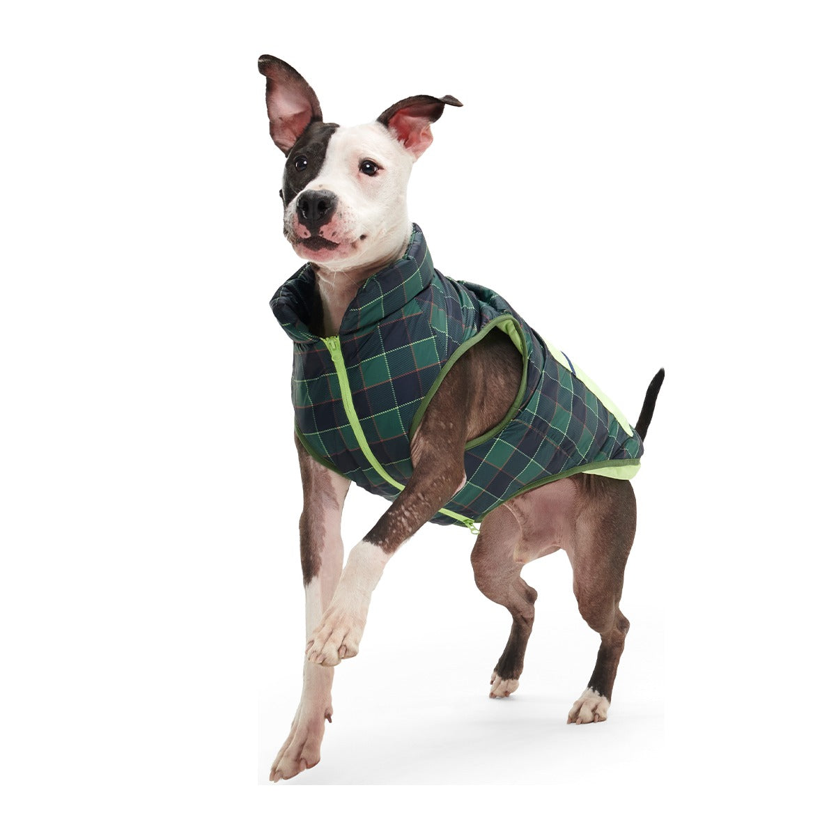 Plaid To The Bone Dog Puffer Vest