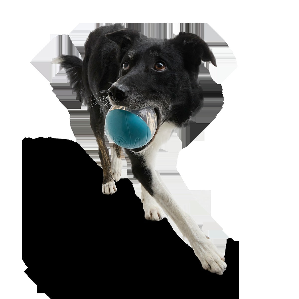 Apex Puzzler Super Chewer Durable Enrichment + Fetch Dog Toy