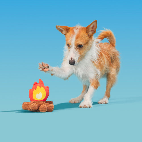 A'Hound the Campfire Plush Tug Dog Toy