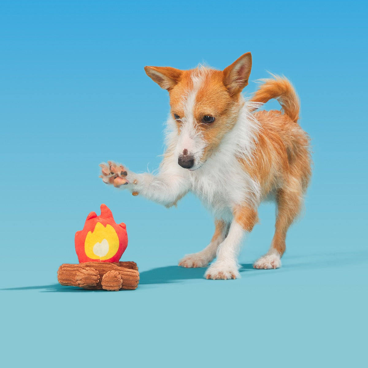 A'Hound the Campfire Plush Tug Dog Toy