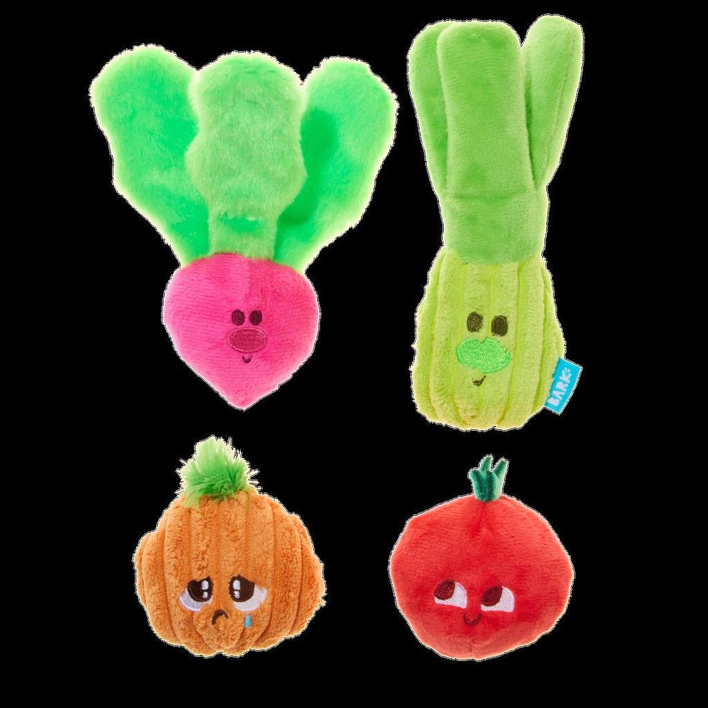 Garden Party Plush Multi-Part Tug + Fetch Dog Toy