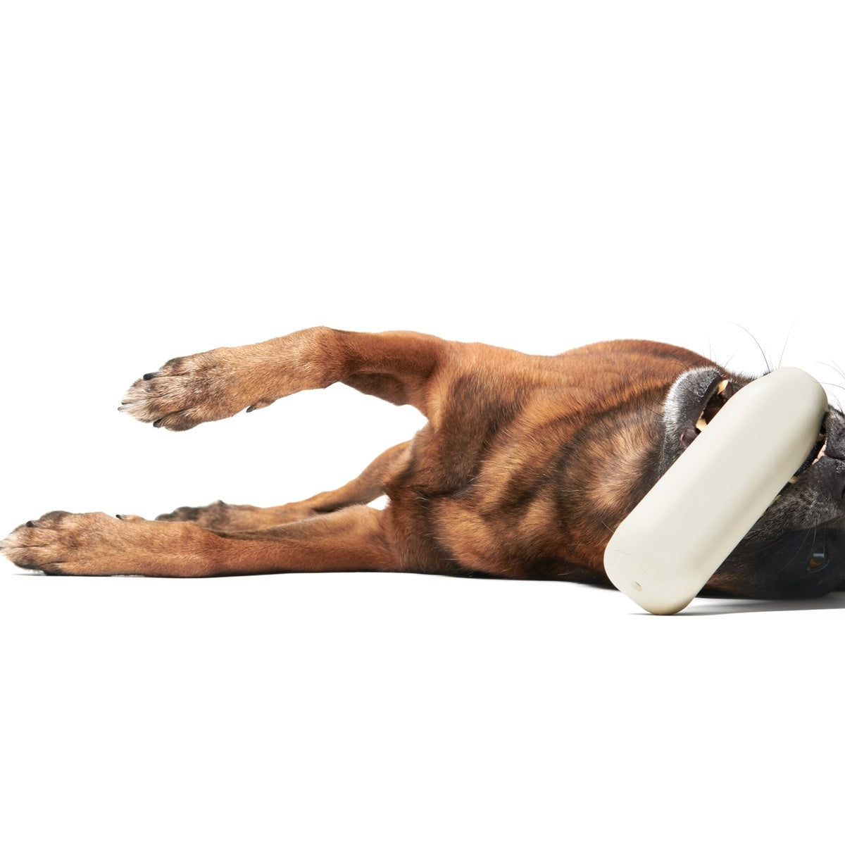Fun Percent Milk Super Chewer Durable Fetch Dog Toy