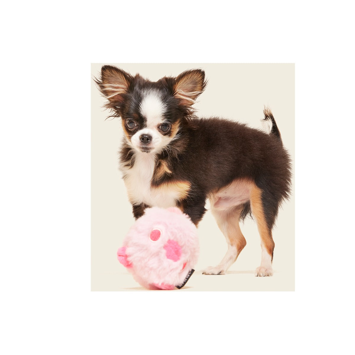 Rosy Tough Chick Super Chewer Durable 2-in-1 Dog Toy