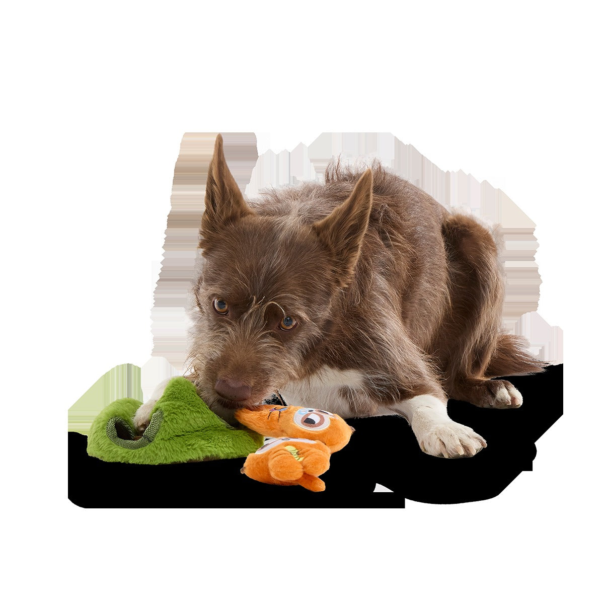 Mchanga & Mwanga Meerkat Plush Multi-Part + Enrichment Dog Toy