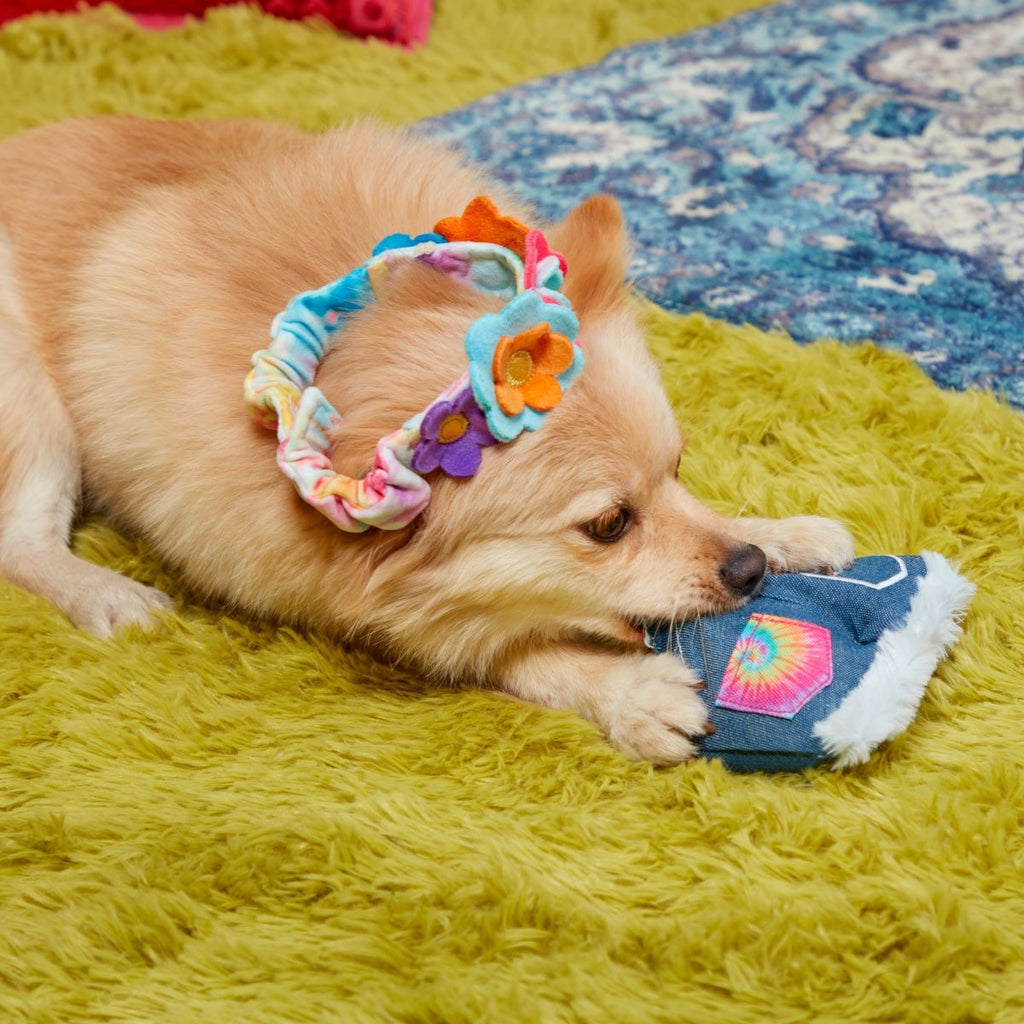 Grrroovy Threads Plush Multi-Part + Wearable Dog Toy