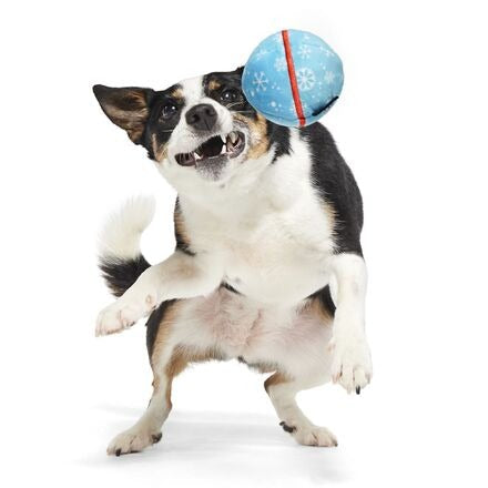 Wripping Pupper Ball Durable Super Chewer 2-in-1 Rip and Reveal Dog Toy