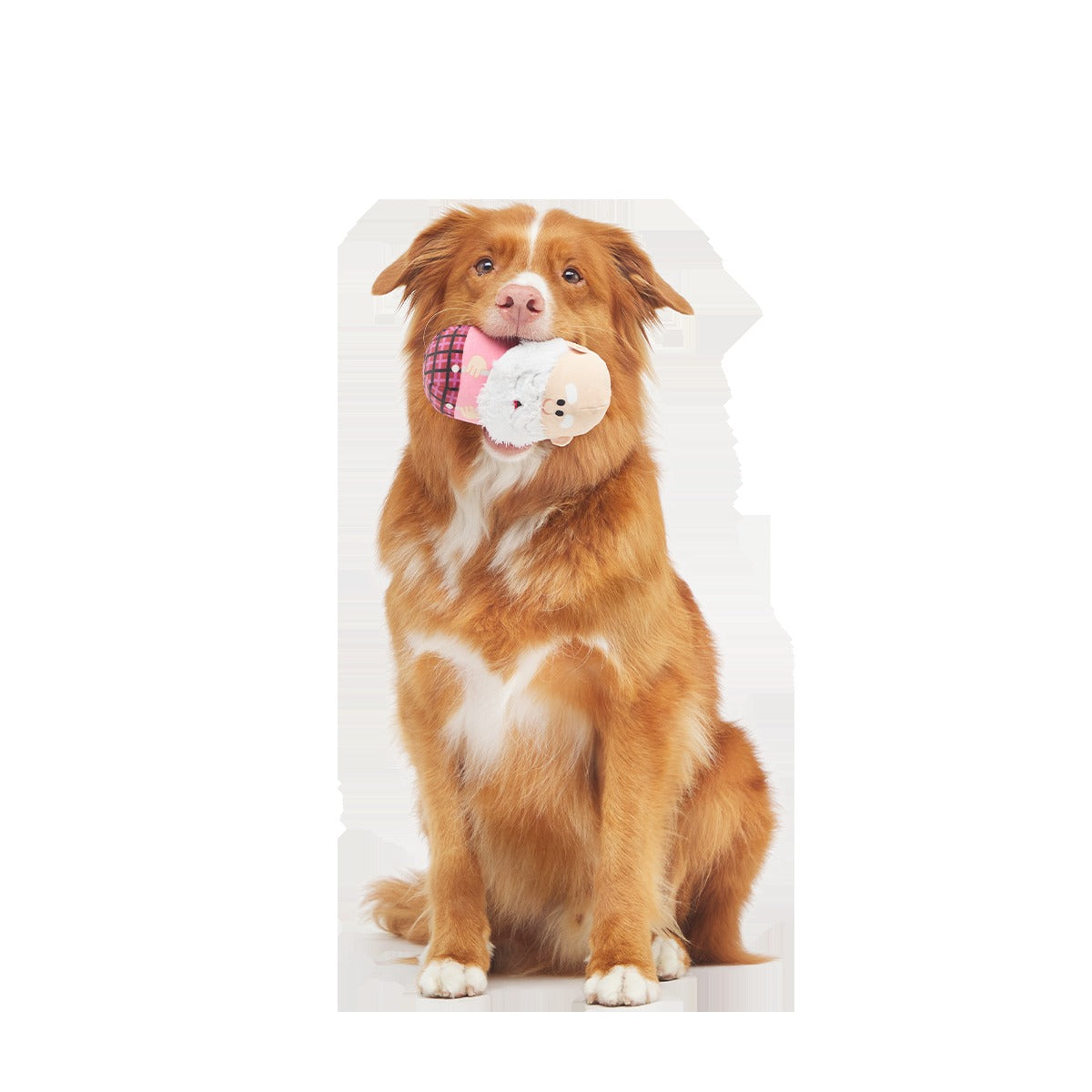 Ol' Kris KringleTM Plush Multi-Part + Enrichment Dog Toy