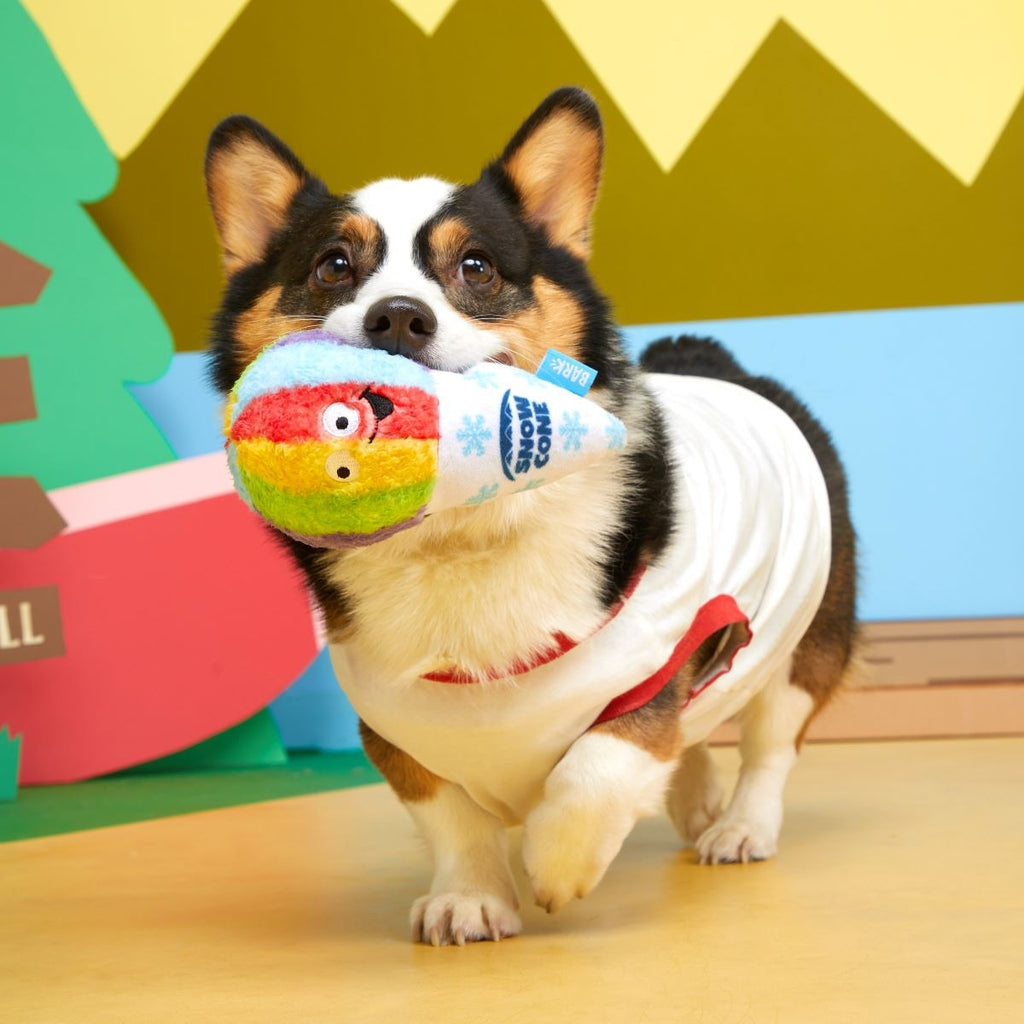 Throw Cone Plush Dog Toy