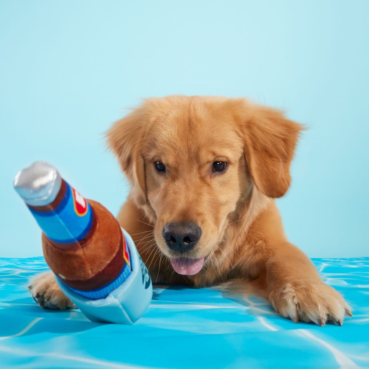 Boozy Doody Koozie Plush Multi-Part + Enrichment Dog Toy