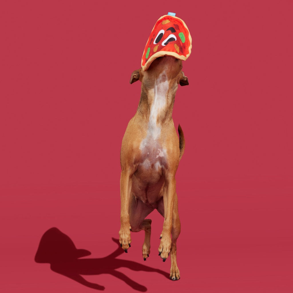 Signore Pizza Face Plush Fetch Dog Toy