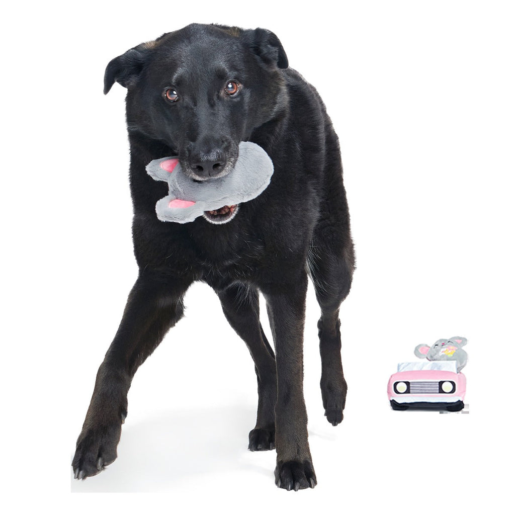 Mister and Mouses Plush Multi-Part Dog Toy