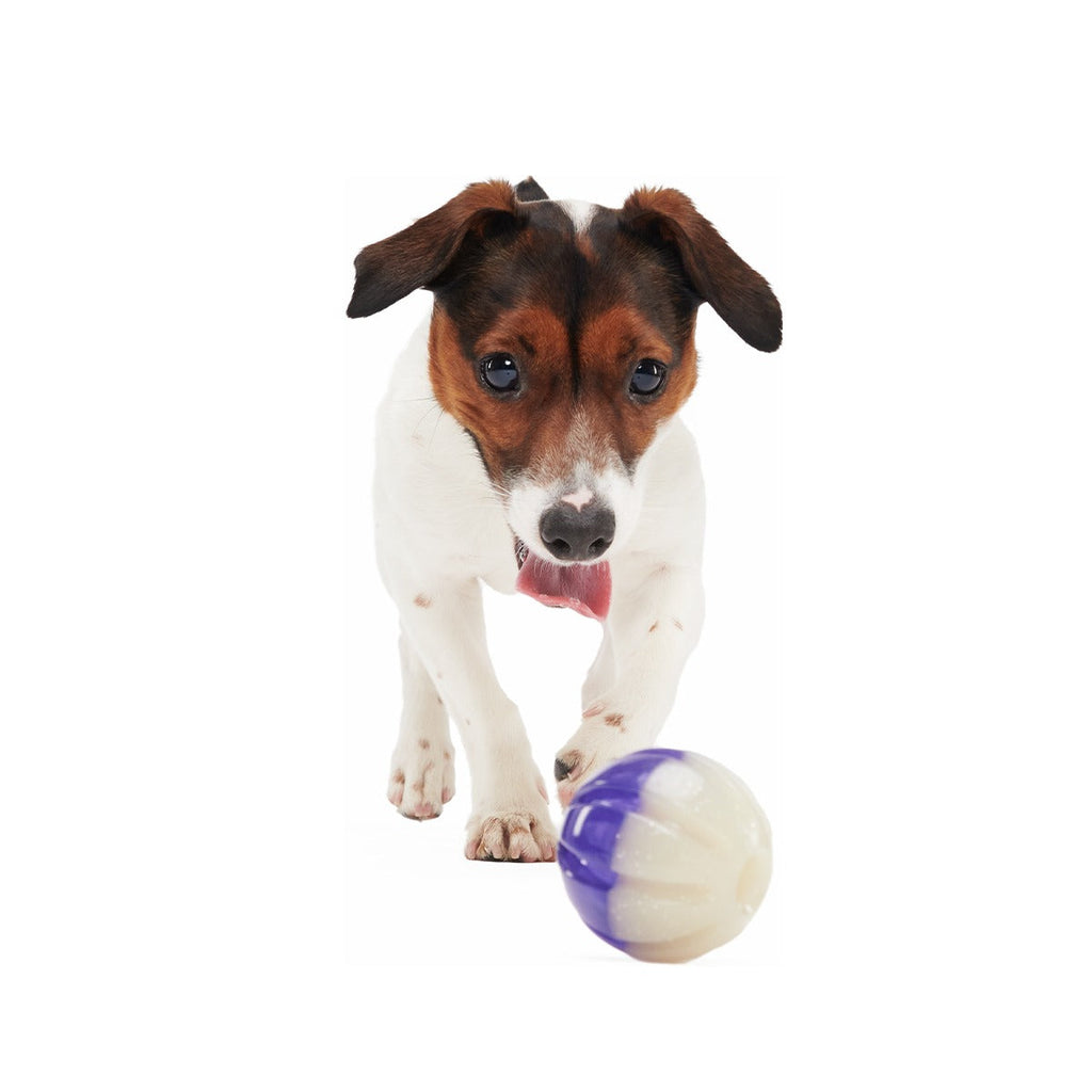 Nepzoom Super Chewer Durable Enrichment + Fetch Dog Toy