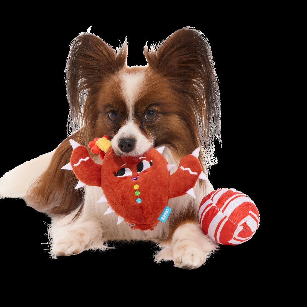 Consuela the Cookie Cactus Plush 2-in-1 Rip and Reveal Dog Toy