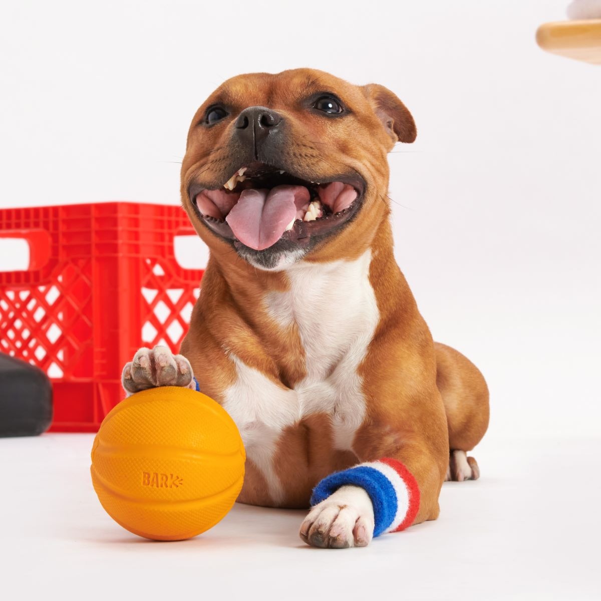 Free Throw Basketball Super Chewer Durable Fetch Dog Toy