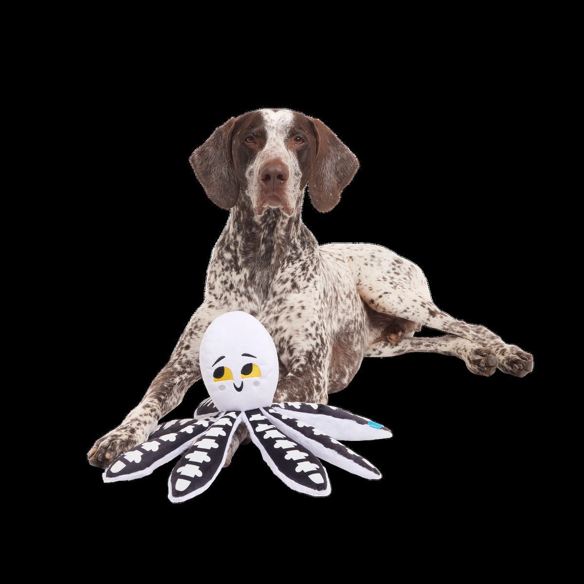 Sk-Ollie-Ton Plush Tug Dog Toy