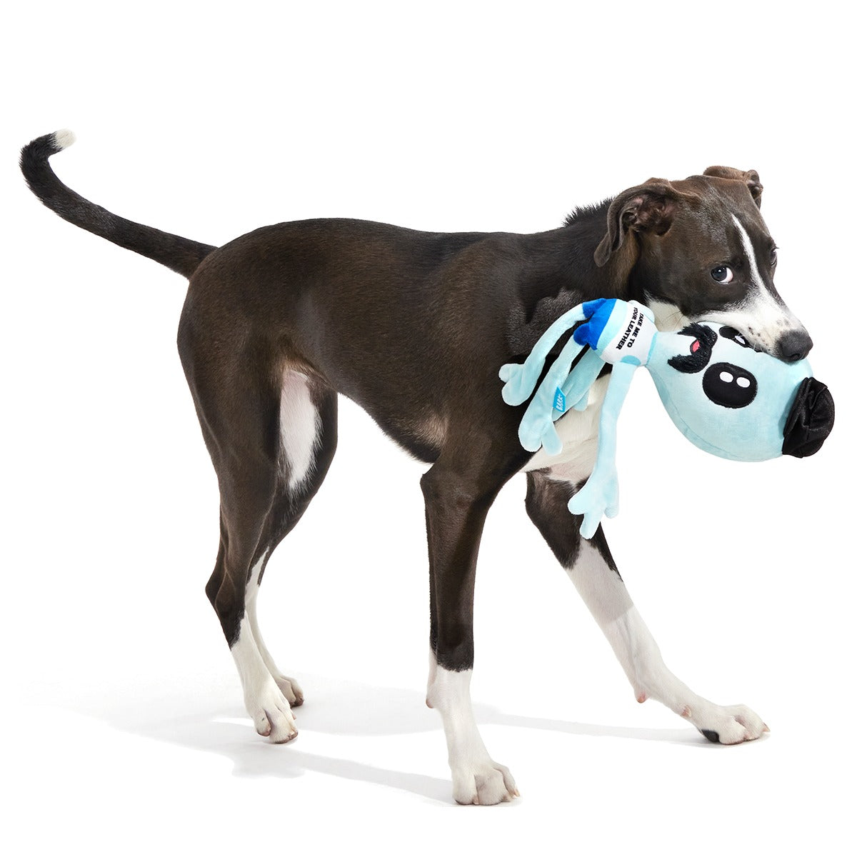 The Gaylien Plush Multi-Part + Tug Dog Toy