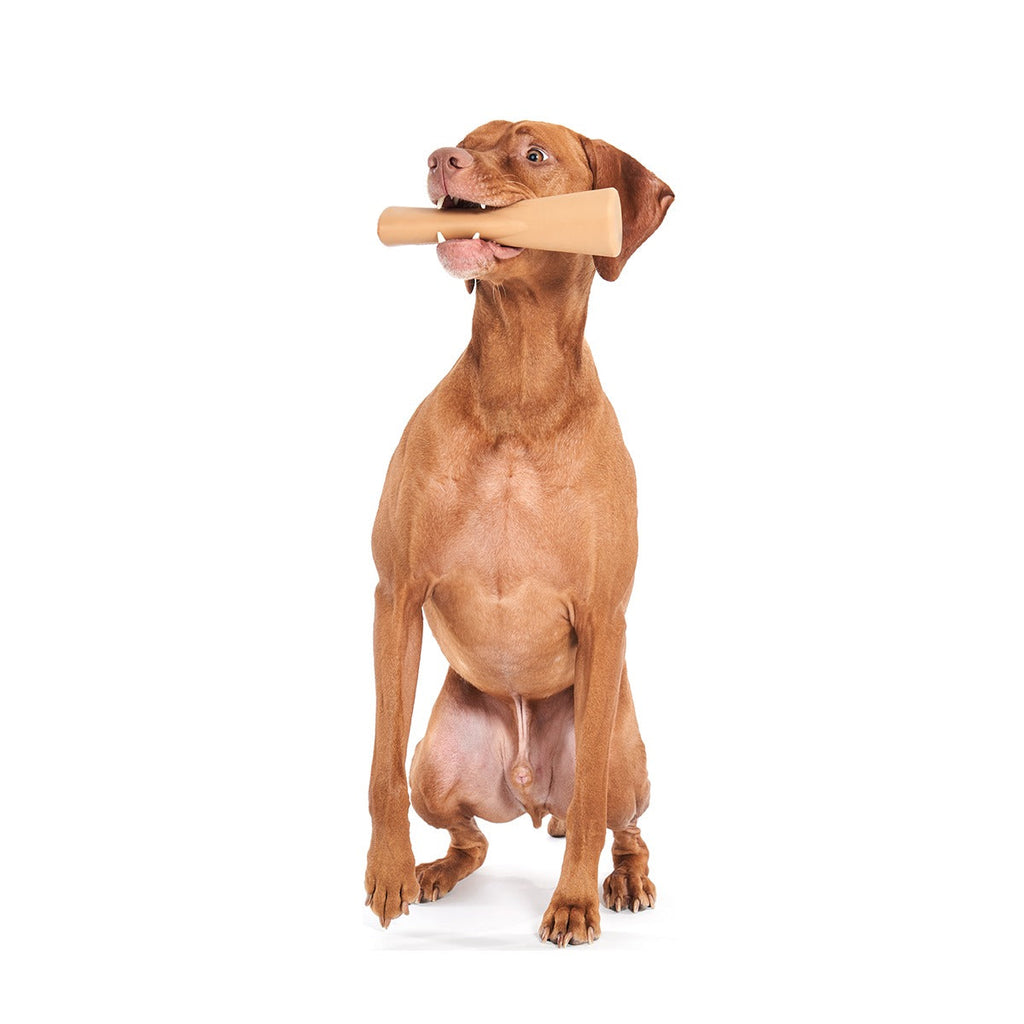 Mighty Bone Bacon Super Chewer Durable Gnaw Dog Toy