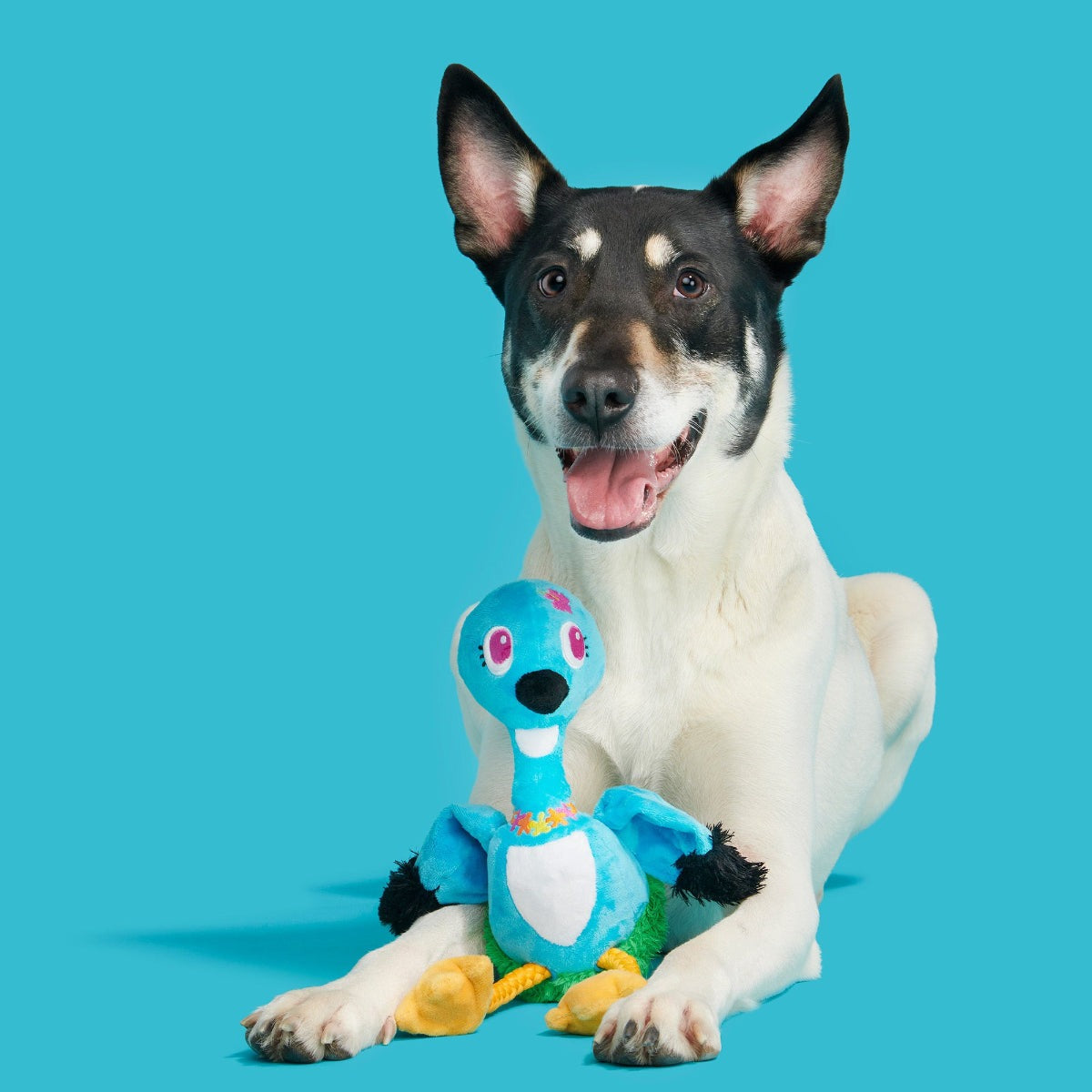 Lele the Nene Goose Plush Tug + Extra-Large Dog Toy
