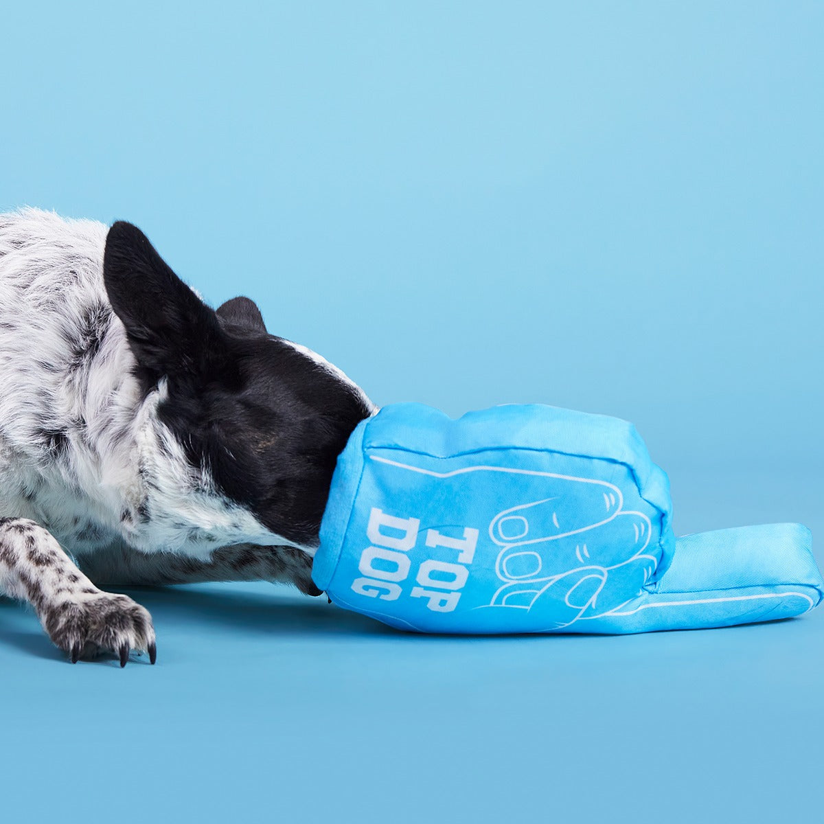 Top Dog Foam Finger Plush Enrichment Dog Toy