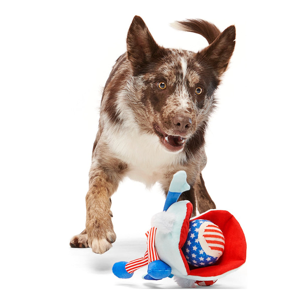 Uncle Clam Plush Multi-Part + Fetch + Enrichment Dog Toy