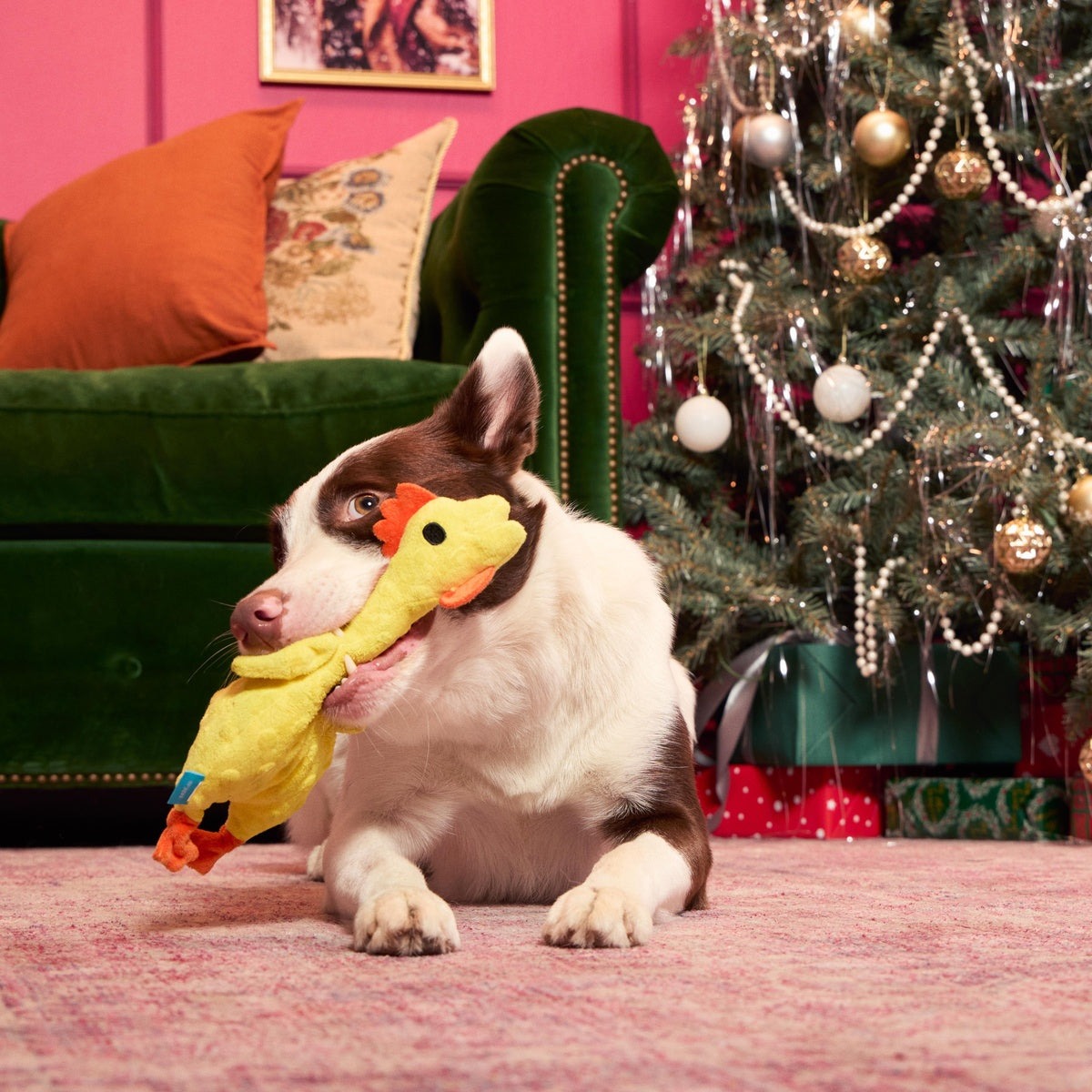 Fozziwig’s Rubber Chicken Plush Tug Dog Toy
