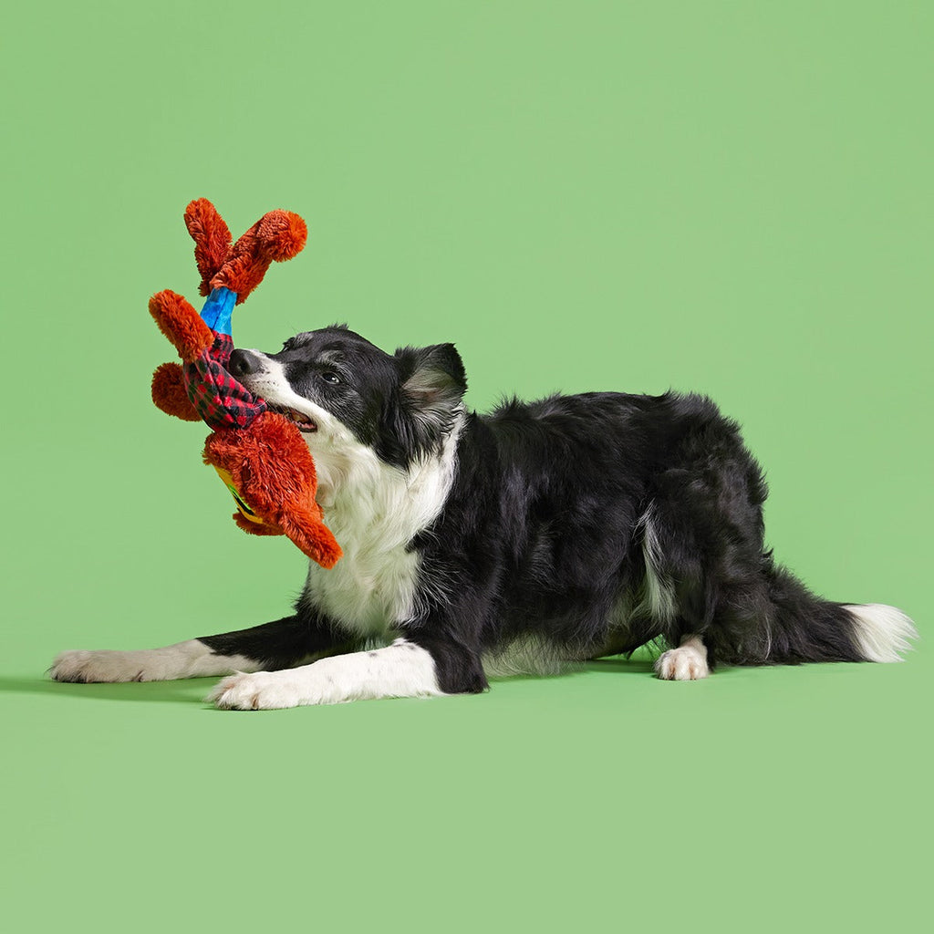 Teen Woof Plush Extra-Large + Tug Dog Toy