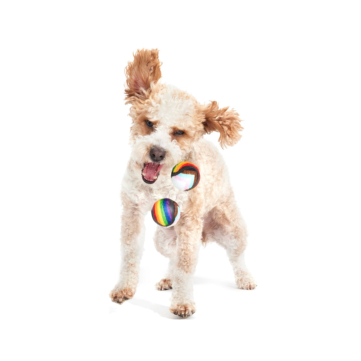 Fetch is Fetch Plush Multi-Part Dog Toy