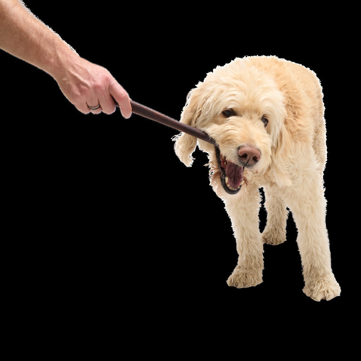 Beef Collagen Dog Chews, 5 Ct