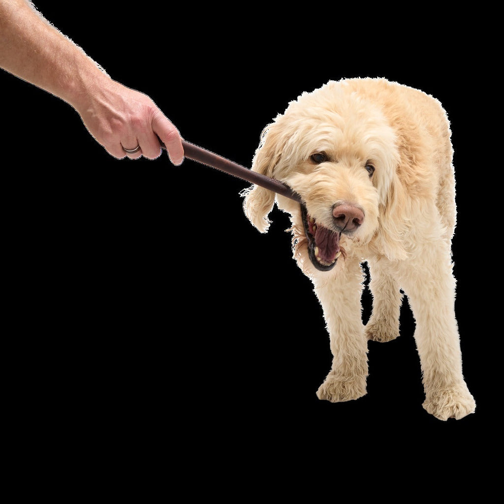 Beef Collagen Dog Chews, 5 Ct