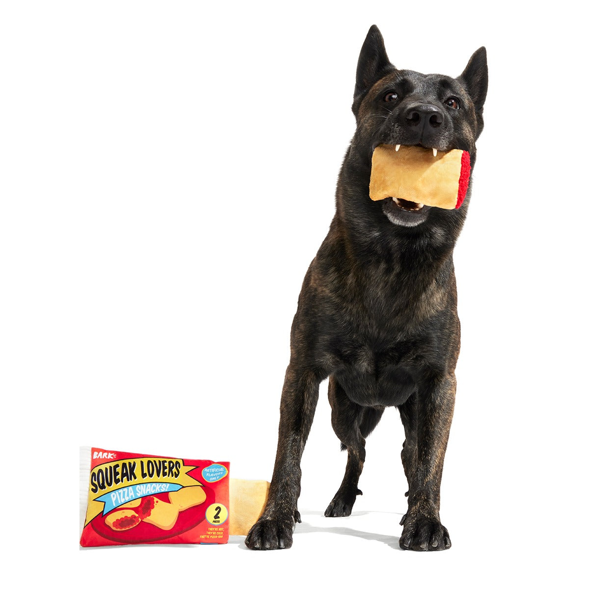 Squeak Lovers Pizza Snacks Plush Multi-Part + Enrichment Dog Toy