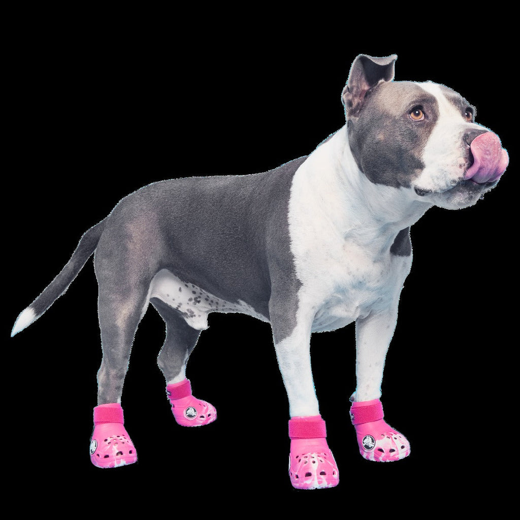 CrocsTM Shoes For Dogs