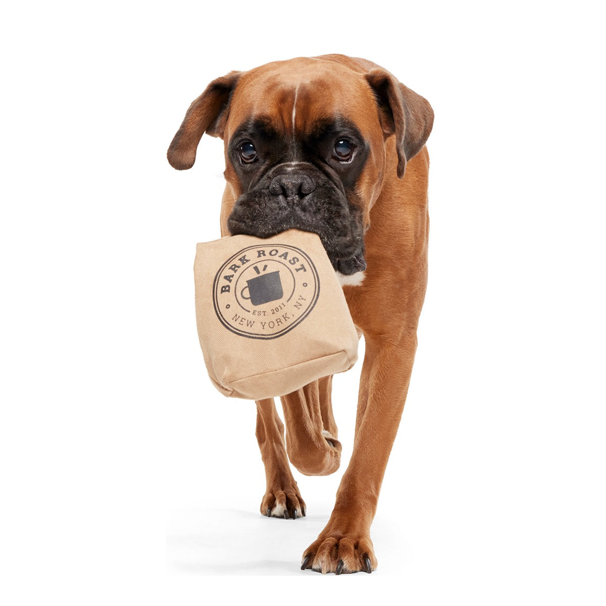 Jitter Pug Coffee Bean Super Chewer Durable 2-in-1 Dog Toy