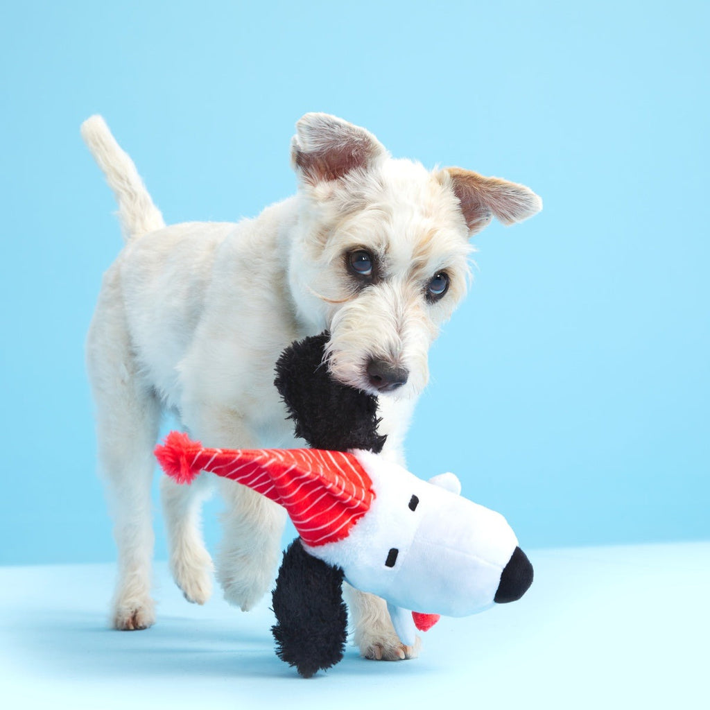 Skating Snoopy Tug Dog Toy