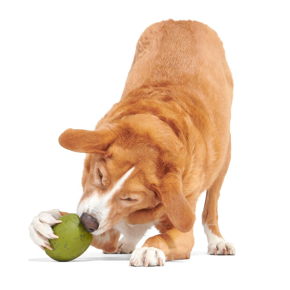 Stuffed Olive Super Chewer Durable Enrichment Dog Toy
