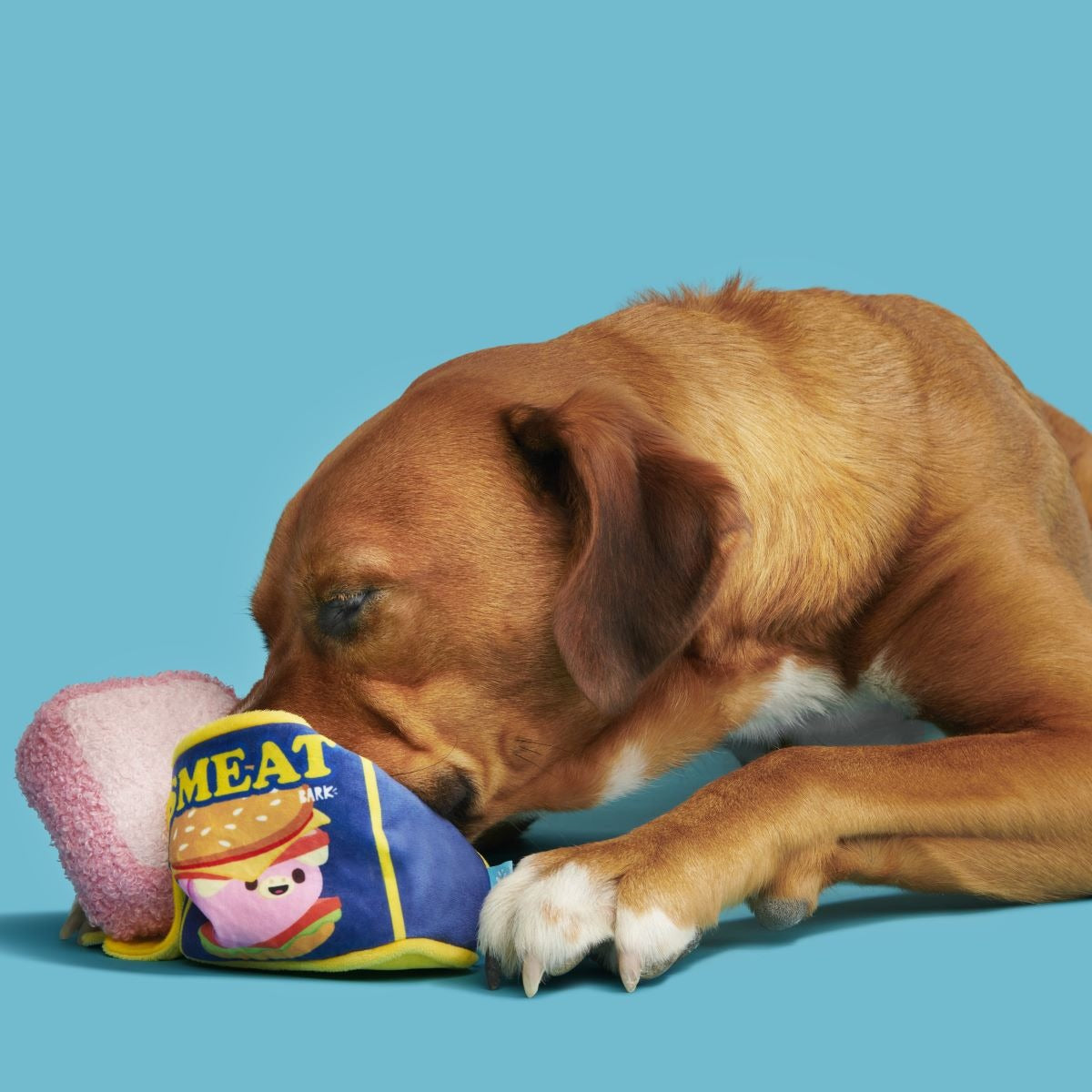 Canned Smeat Plush Multi-Part + Enrichment Dog Toy