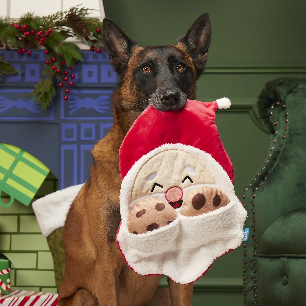 Kris Krumble Plush Enrichment + Multi-Part Dog Toy