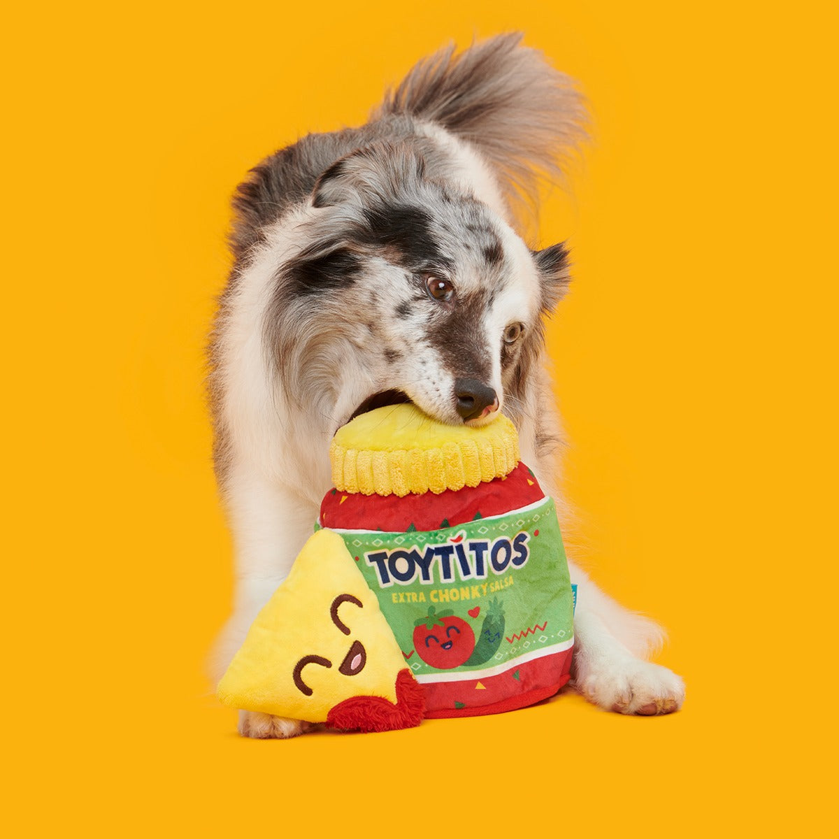Yip & Salsa Plush Multi-Part + Enrichment Dog Toy