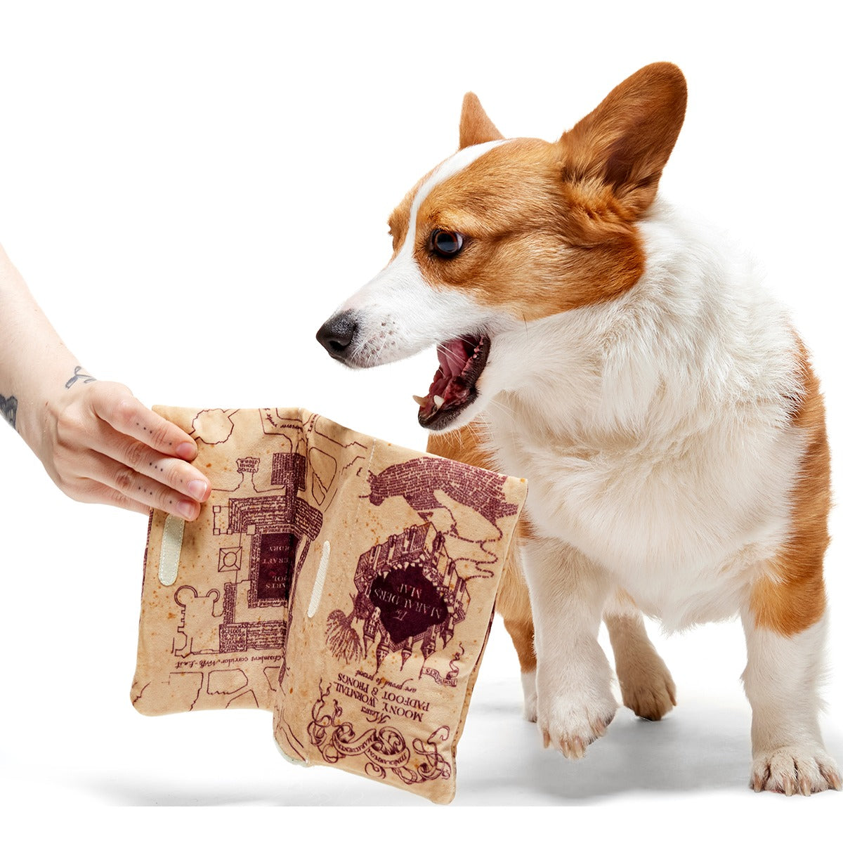 Marauder’s MapTM Plush Tug Dog Toy