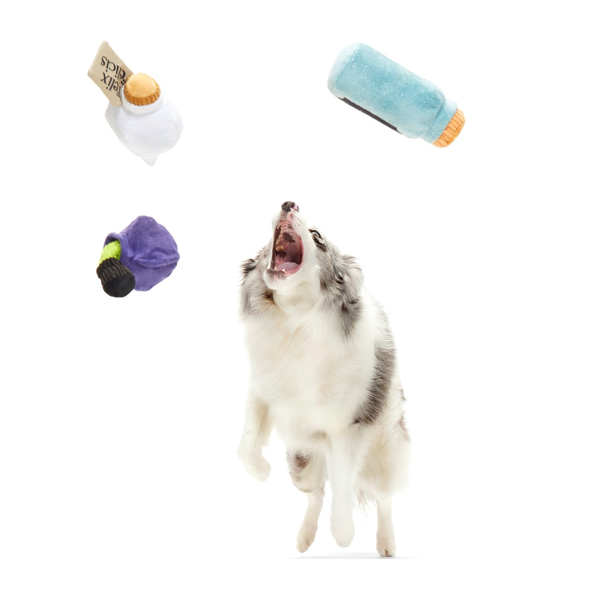 Potions Class PackTM Plush Multi-Part Dog Toy